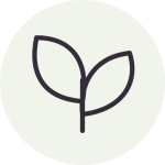 Icon M Wellness Journal